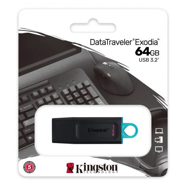 Kingston USB Stick
